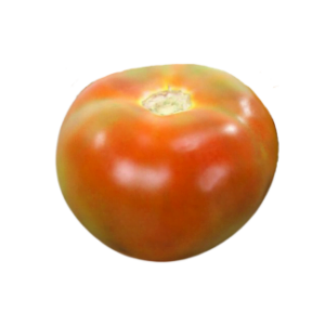 Tomate de Ensalada (Jack)
